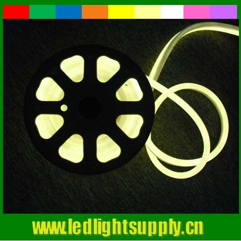 LED 220V neo<em></em>n rope light