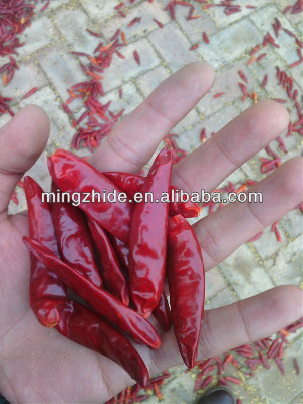 chinese red chilli,Amercia red chilli, xinjiang chilli and caotian chilli
