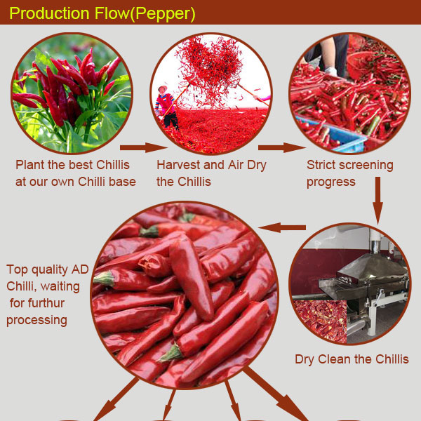 Shandong Pangda Condiment and Food Co., Ltd (3).jpg