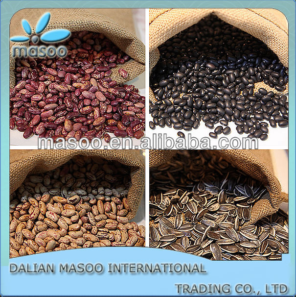 Chinese large white kidney beans specification,types of edible beans from french beans exporters