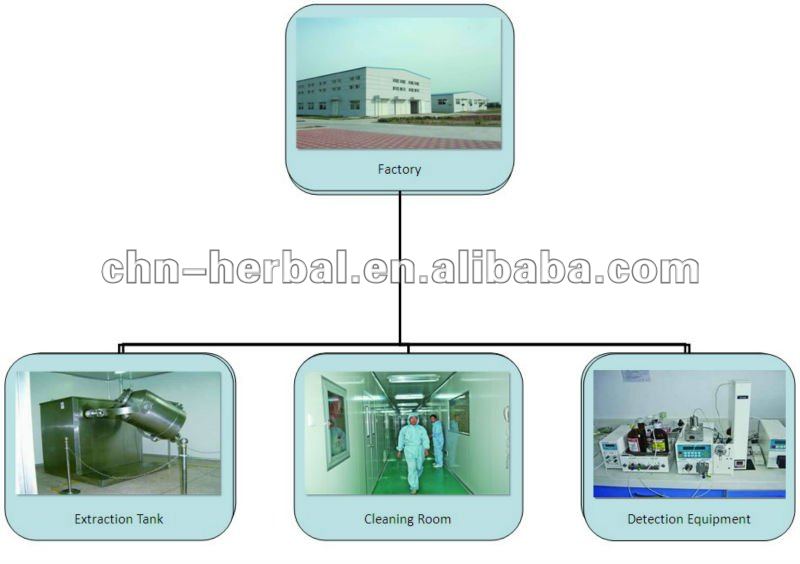 High Quality Cocoa Bean Extract Cocoa Powder