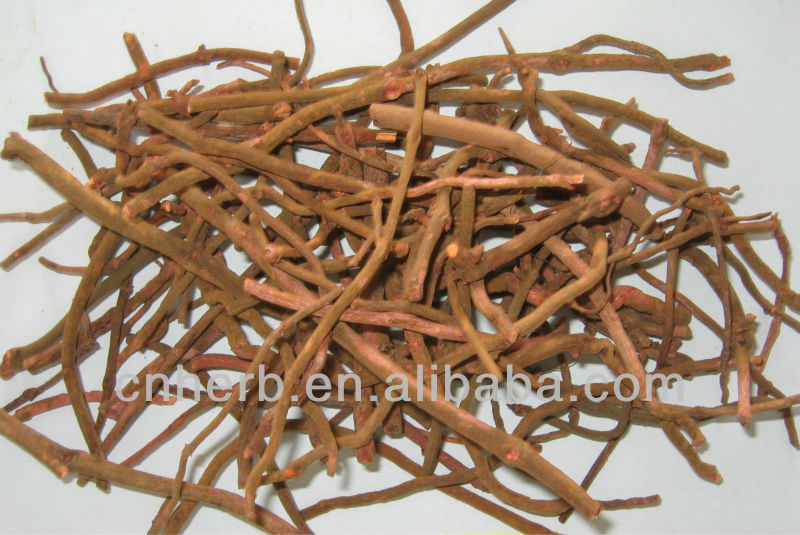 dried madder root rubia cordifolia madder rubia red dyestuff