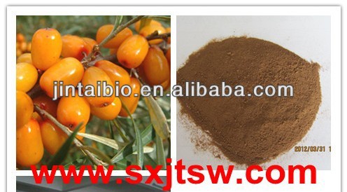 seabuckthorn.jpg