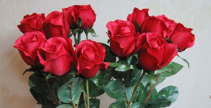 Rose For Lover