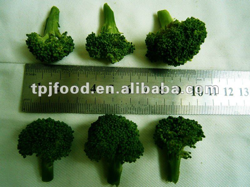 frozen broccoli florets (iqf vegetable) with FDA BRC,HALAL,KOSHER,HACCP