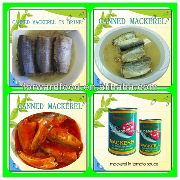 canned mackerel in vegetable oil