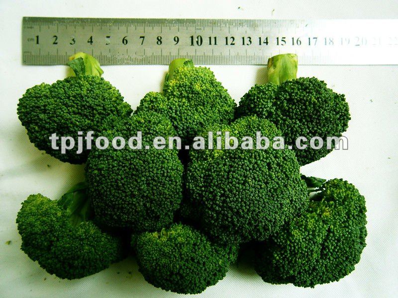 frozen broccoli florets (iqf vegetable) with FDA BRC,HALAL,KOSHER,HACCP