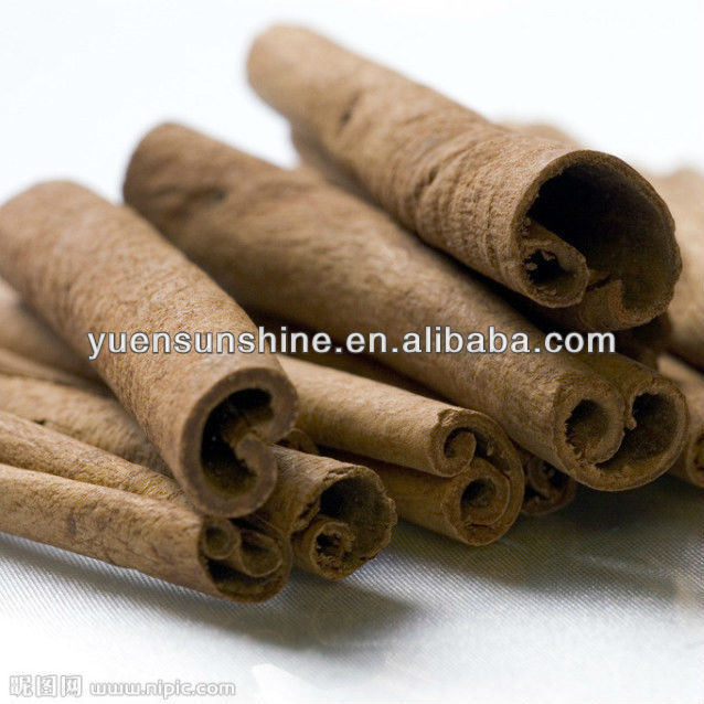 GMP supplier cinnamon extract/ceylon cinnamon extract