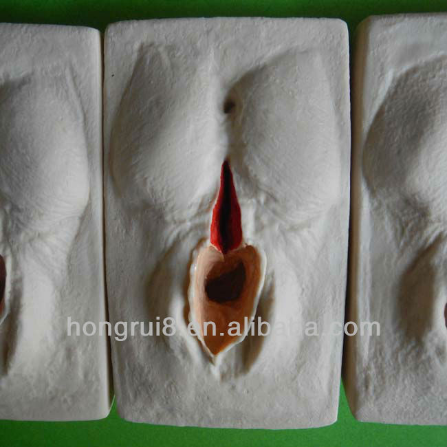 hot sale training suturing for vagina model perineum suture