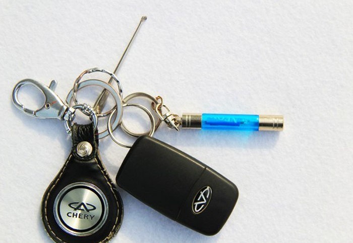 Car Auto Static Keychain Key Ring Blue.jpg