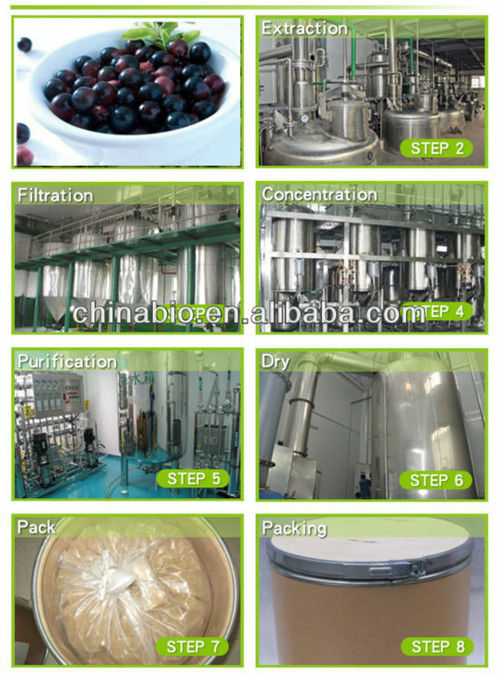 antioxidant keepling slim Natural Acai Berry Extract