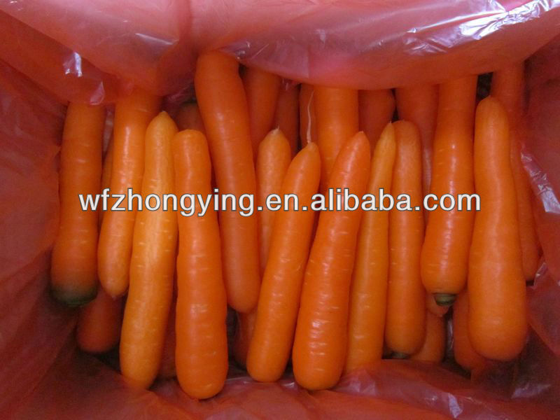 2013 bright red carrot,new corp