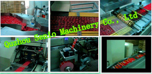 SMVS-2000 Fully Automatic High Speed Chewing Gum Packaging Machine