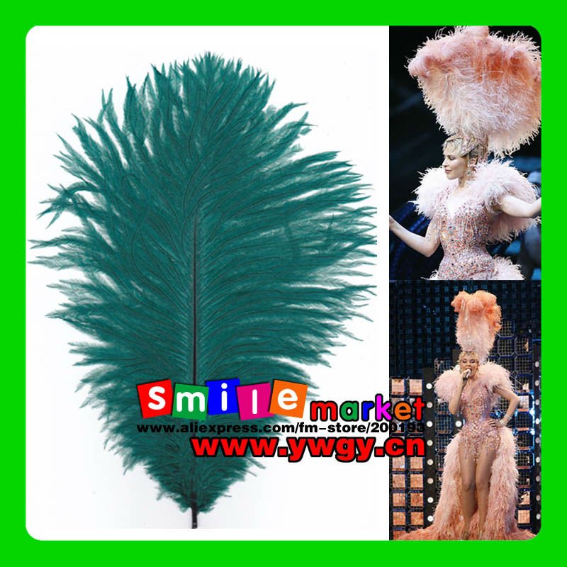 Dyed ostrich feather Prime Quality for wedding stage decoration length range