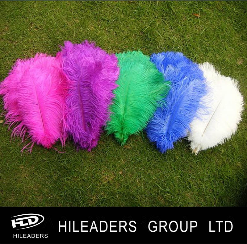 High Quality Cheap ostrich feather 100pcs 65-70cm white Ostrich plumage wholesale price.jpg