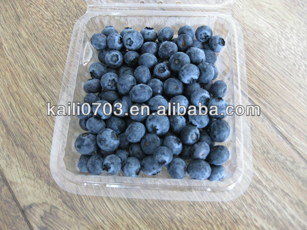 organic blueberries prices/blueberry blueberries/frozen blueberries price 2013