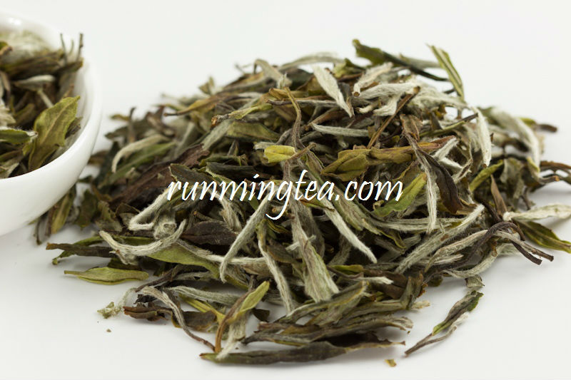 white tea extract