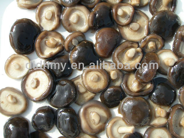 Canned Shiitake Mushroom in brine