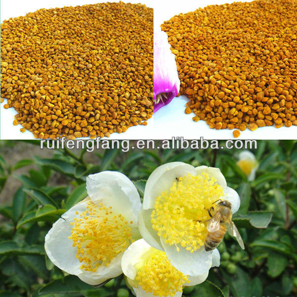 Wholesale corn bee pollen for male prostate health