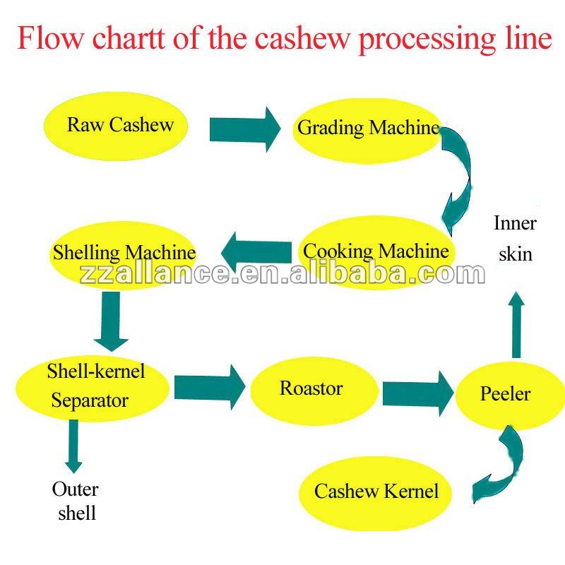 592 Affordable automatic cashew nut processing machine