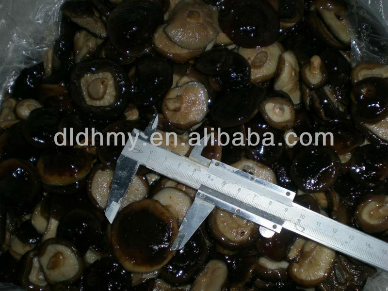 Preserved Canned Shiitake Mushroom in Tin