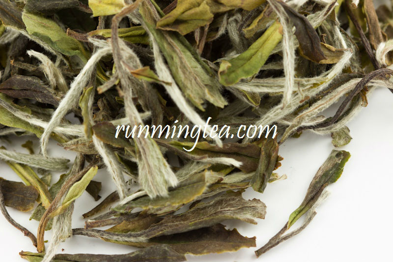 white tea extract