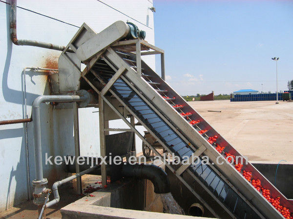 Tomato paste production line