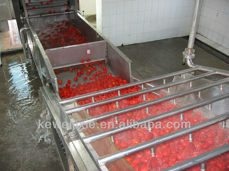 Tomato paste production line