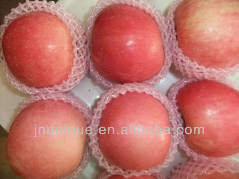 bulk apples,fresh apple fruit for sale