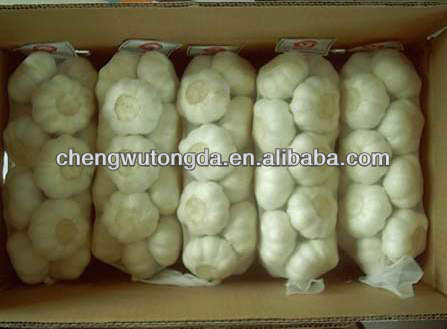 2013 Jinxiang wholesale garlic price garlic import