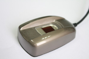 p2.jpg