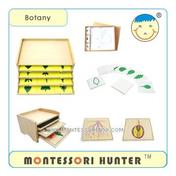 3.Botany