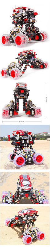 rsc-1136D1-001.jpg