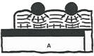 emward_ydnac_pic1_01.jpg