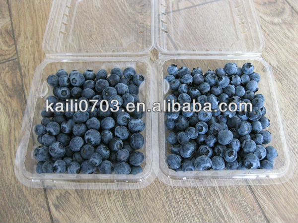 organic blueberries prices/blueberry blueberries/frozen blueberries price 2013