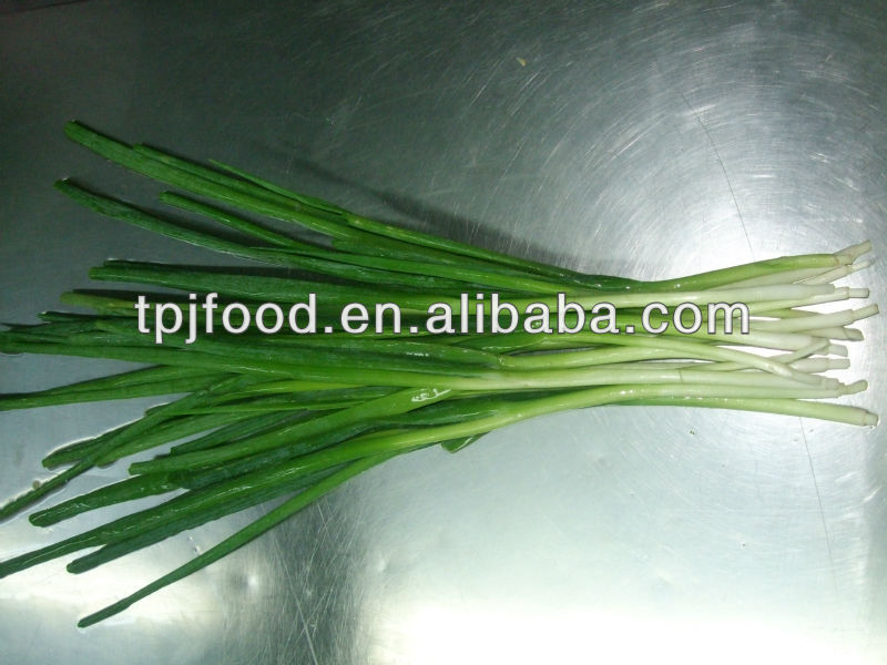 Frozen green onion with FDA