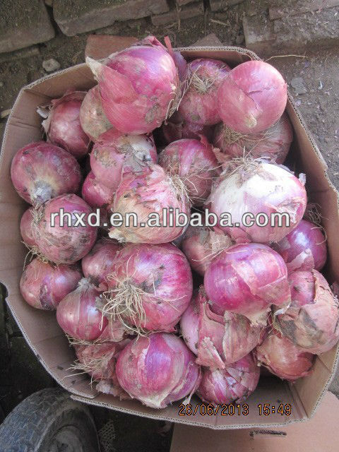 fresh red onion price