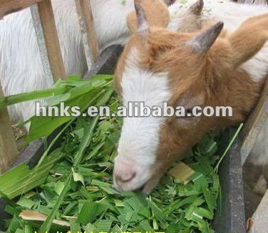 xiaoguotu4.jpg