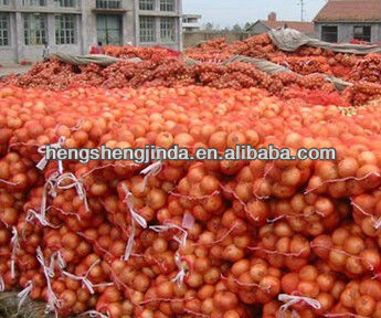 2013 fresh red onion for hot sale