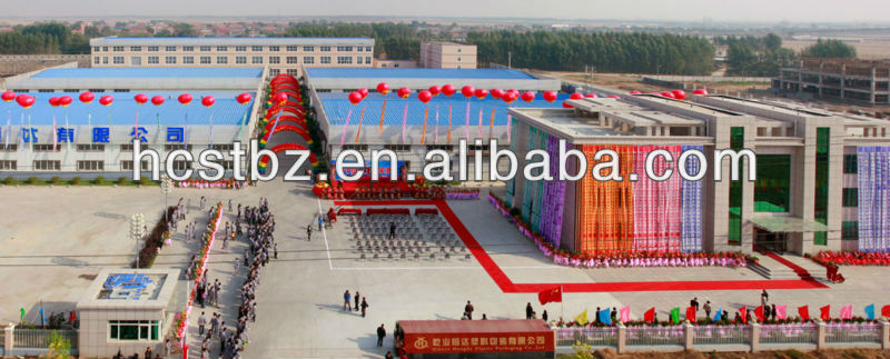 BOPP laminated woven polypropylene bag/sack for packing rice