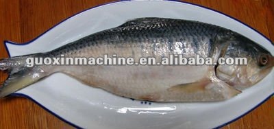 High quality fish scaling machine manufacturer