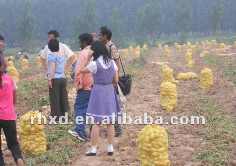 fresh potato importers in dubai,price of fresh potatoes