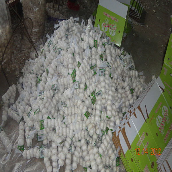 Dry jinxiang fresh red/normal/pure white garlic factory