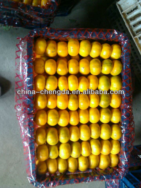 Nanfeng citrus mandarin(3.5-6cm)