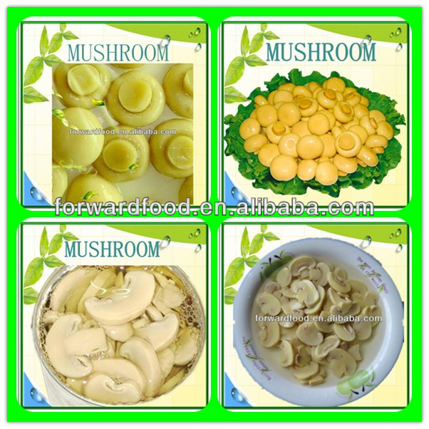 High Quality Mushroom in Brine Sliced
