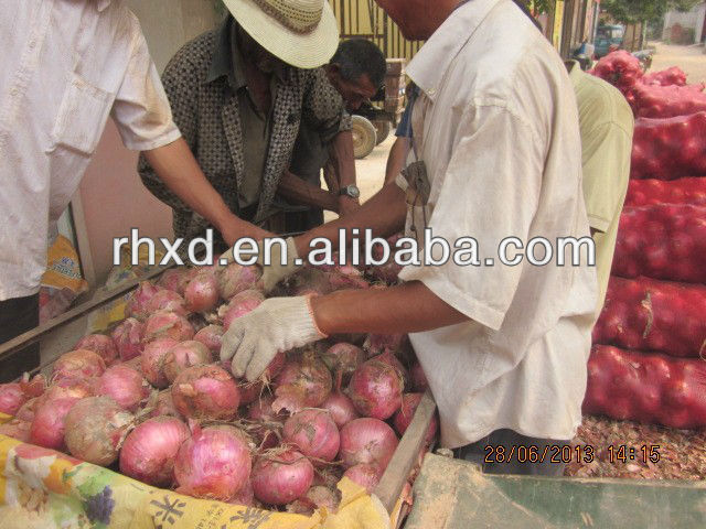 2013 new crop bulk fresh onion