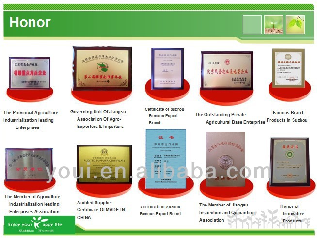 OU/ KOSHER/ Largest supplier, healthy snack ideas/ pea snacks food