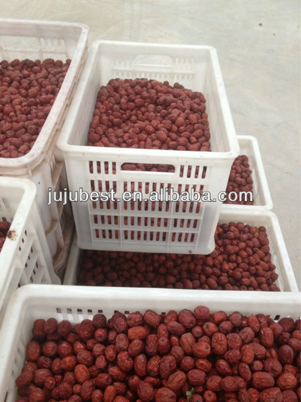 Chinese fresh red dates fruit for sale