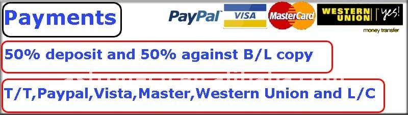 Payments-2.jpg
