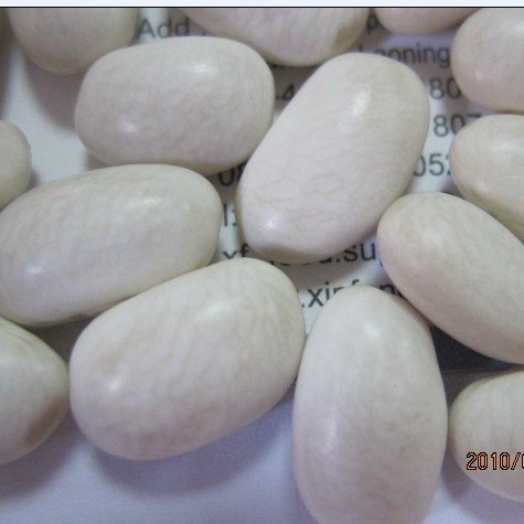 all size Japanese white kidney bean